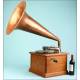 Great Gilbert gramophone. Copper horn. 1920