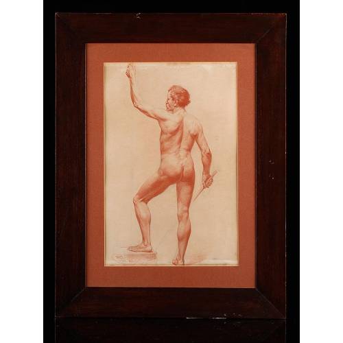 Splendid Male Nude Drawn in sanguine. School of the XIX Century.
