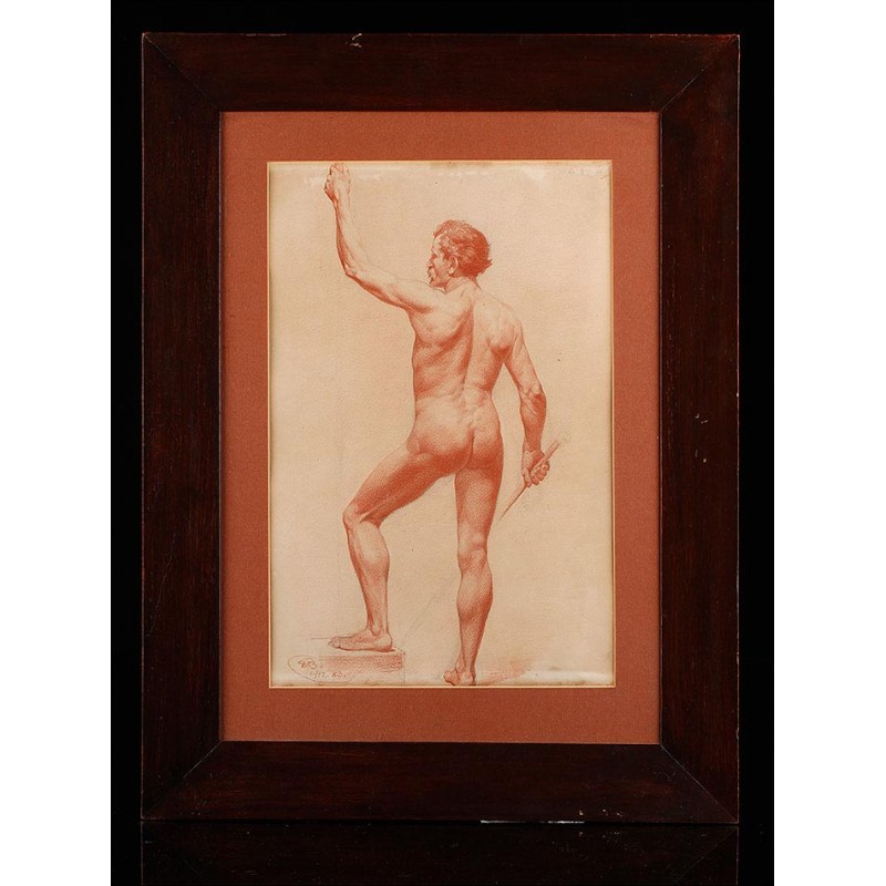 Splendid Male Nude Drawn in sanguine. School of the XIX Century.