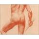 Splendid Male Nude Drawn in sanguine. School of the XIX Century.