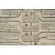 Genealogical Tree, 1721