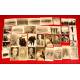 Personal Collection of 60 Photographs, Legion Condor, World War II.