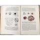 Fantástico Lote de 8 Libros Antiguos sobre Microscopía. Alemania, Ppios. S. XX
