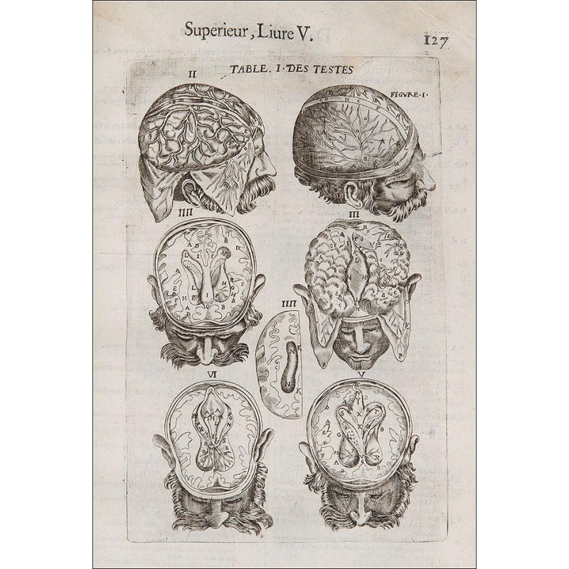 Surgery, 1649, "Les Oeuvres De Chirurgie De Jacques Guillemeau" (The Works of Surgery of Jacques Guillemeau).