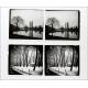 60 Antique Stereoscopic Plates. Landscapes and Monuments. France, 1920. Format 60 x 130