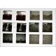 100 Stereoscopic Plates