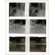 55 Stereoscopic Negatives