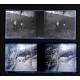 55 Stereoscopic Negatives