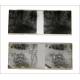 55 Stereoscopic Negatives