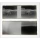 55 Stereoscopic Negatives