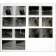 55 Stereoscopic Negatives
