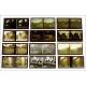 Collection of 12 Antique Full Color Autochromes. France, 1910-1936