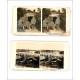 Sobrecogedor Lote de 72 Fotos Estereoscópicas. Imágenes de la 1º Guerra Mundial. Años 1914-18
