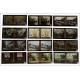 Set of 16 Antique Autochromes in Good Condition. France, 1912-29. Format 60x130