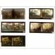 Set of 16 Antique Autochromes in Good Condition. France, 1912-29. Format 60x130