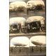 Lot of stereoscopic photos of the 1st World War.