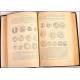 History of Spain. Modesto Lafuente. 25 volumes. 1889