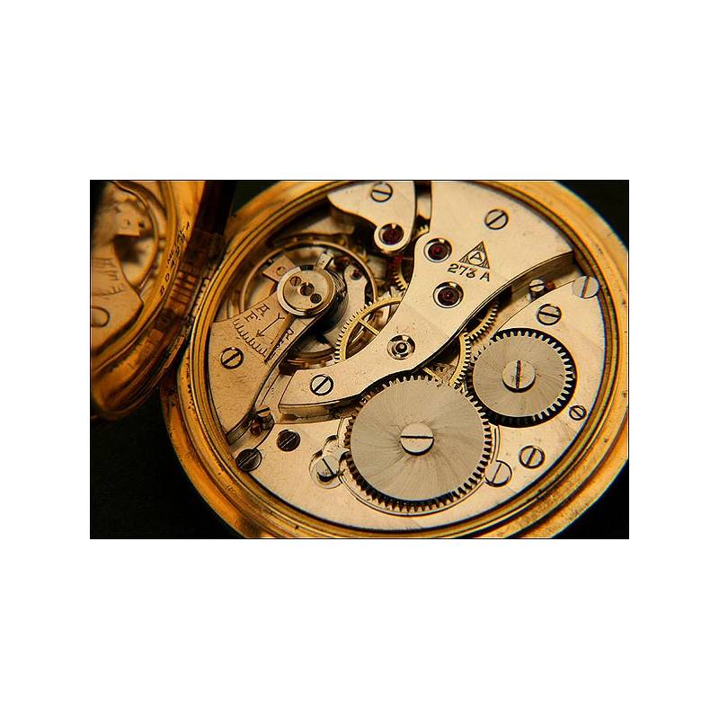 Alpine online pocket watch