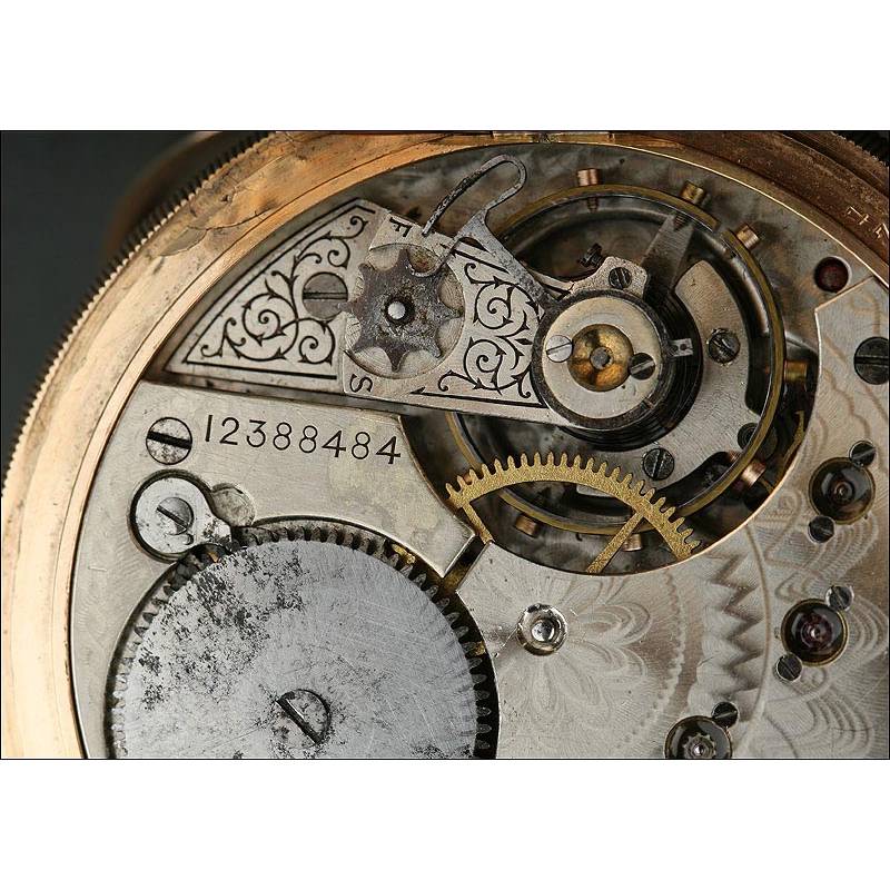 Impresionante Reloj de Bolsillo Waltham de 1903. En Oro Macizo de 14 Kilates y Funcionando
