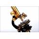 Microscopio profesional antiguo E. Leitz Wetzlar. Con juego de accesorios y estuche original.