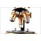 Microscopio profesional antiguo E. Leitz Wetzlar. Con juego de accesorios y estuche original.