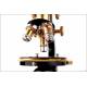 Microscopio profesional antiguo E. Leitz Wetzlar. Con juego de accesorios y estuche original.