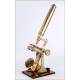 Antiguo Microscopio Profesional J. Newton & Son. Inglaterra, 1870