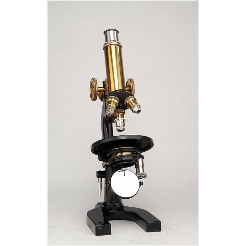 Reichert Jung 310 Microscope Professionnel Composé Microscope