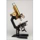 Fantastic C. Reichert Microscope in Perfect Working Condition. Vienna, Circa 1920