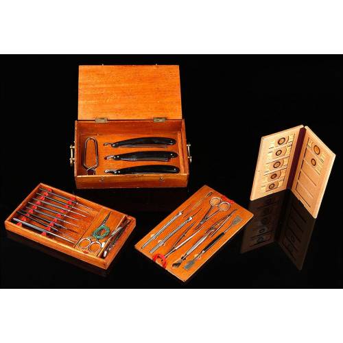 Antique Case with Instruments for Specimen Preparation. Germany, Circa 1910