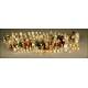 Large Collection of Glass Apothecary Bottles and Labels. 1st Half s. XX.
