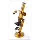 Attractive Fine Working Antique Brass Microscope. Circa 1900