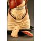 Anatomical Model for Internal Medicine Demonstrations with Removable Organs. 1900