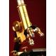 Impressive Ernst Leitz Wetzlar Professional Microscope. Ca. 1920.