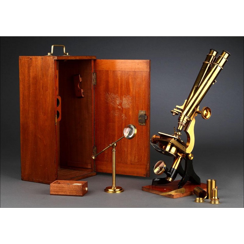 Magnífico Microscopio Binocular Inglés de Latón, Circa1870. Muy Bien Conservado y Funcionando