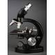 Fantástico Microscopio Binocular Steindorff Fabricado en Alemania en los Años 60. Estuche de Madera Original