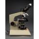 Binocular Microscope, 1960's