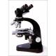Binocular Microscope, 1950's - 1960's