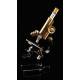 Fantastic Seibert Microscope in Original Case. Germany, 1910-20. Working