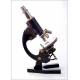 Beautiful E. Becker Microscope, Well Preserved and Working. Germany, 20-30's