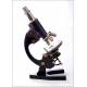 Precioso Microscopio E. Becker, Bien Conservado y Funcionando. Alemania, Años 20-30