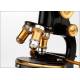 Magnificent E. Leitz Microscope in Excellent Working Condition. Germany, 1912