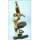 Antique Carl Zeiss-Jena Microscope, 1910