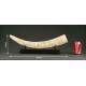 Chinese Bone Horn, 19th century