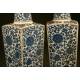 Elegante Pareja de Vasos Chinos en Porcelana Azul y Blanca, Siglo XIX. Sello Imperial de Qianlong