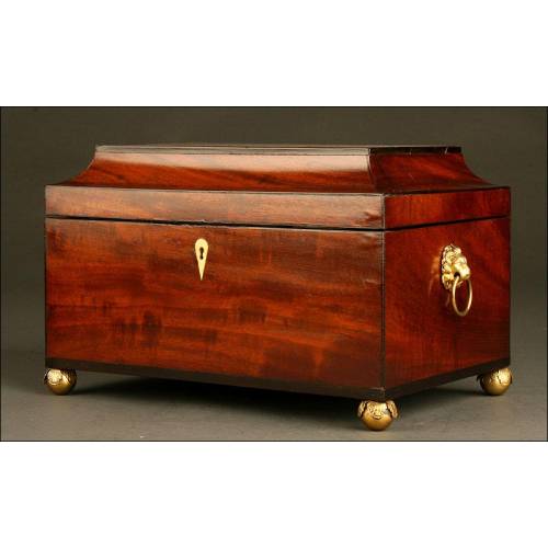 Beautiful 19th Century English Tea Box in Mahogany Wood. With Five Compartments.